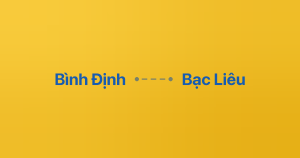Xe ghép Bình Định Bạc Liêu
