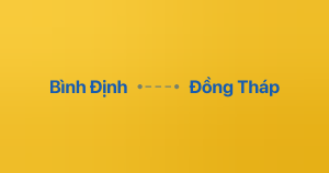Xe ghép Bình Định Đồng Tháp