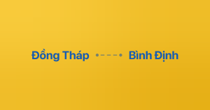 Xe ghép Đồng Tháp Bình Định
