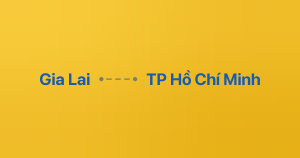 Xe ghép Gia Lai TP Hồ Chí Minh